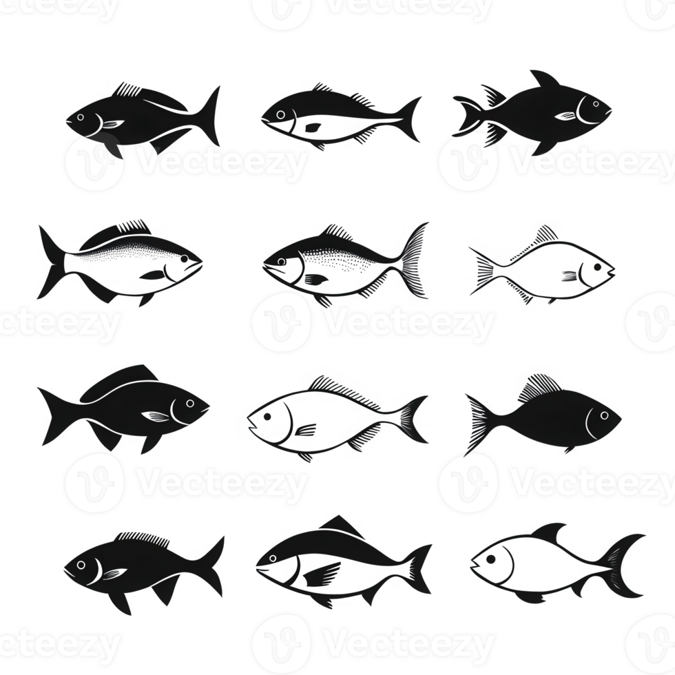 A collection of various fish illustrations arranged in a grid format. png