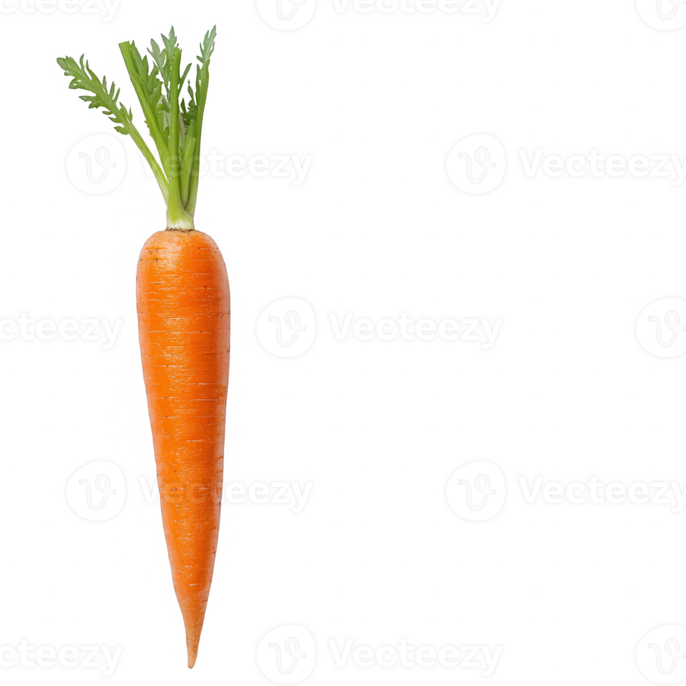 fresco vibrante cenoura com verde folhas, perfeito para saudável receitas e culinária. png