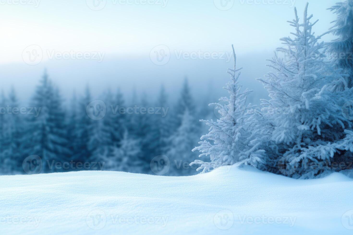 Beautiful winter landscape with snow covered fir trees. Blue toned photo