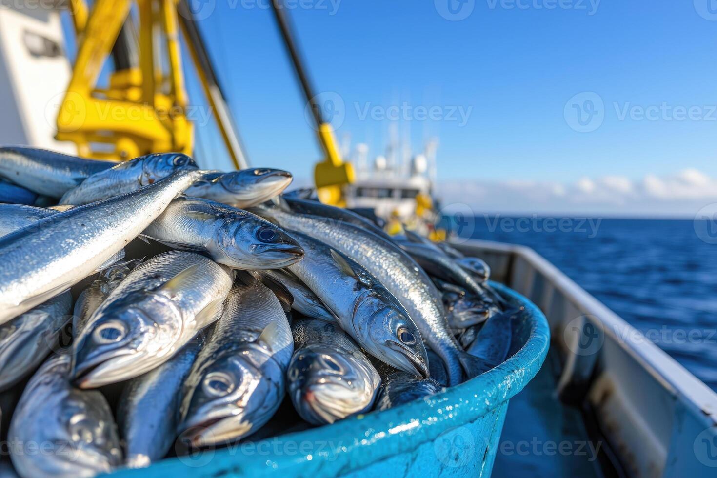 fish catch in a container on the deck of a fishing seiner photo