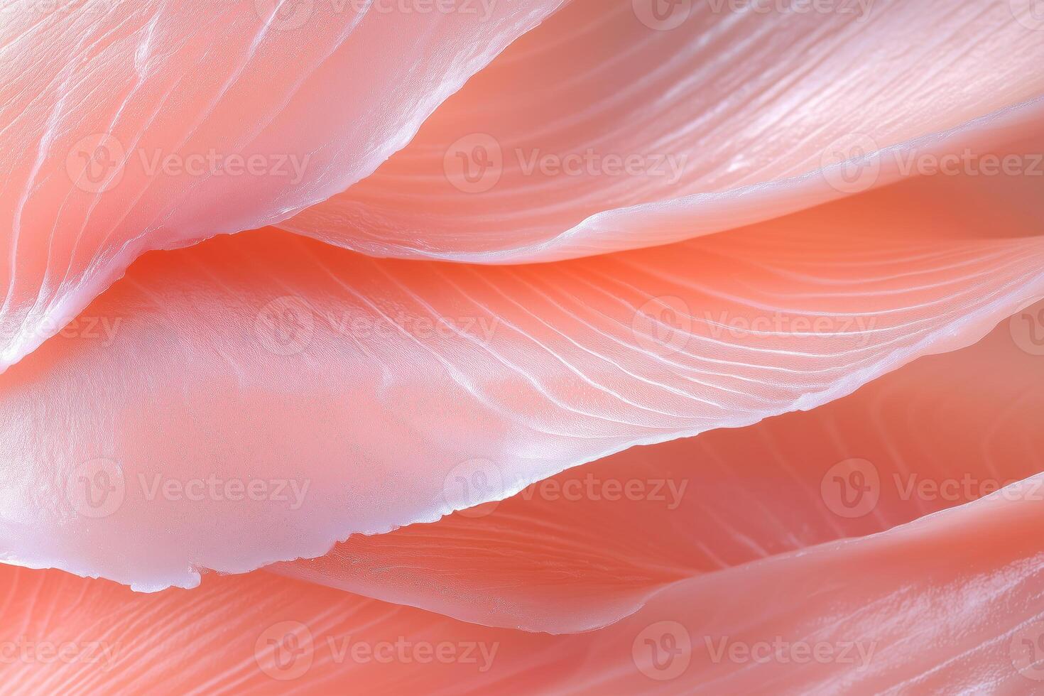 close up of salmon fish fillet texture for background photo