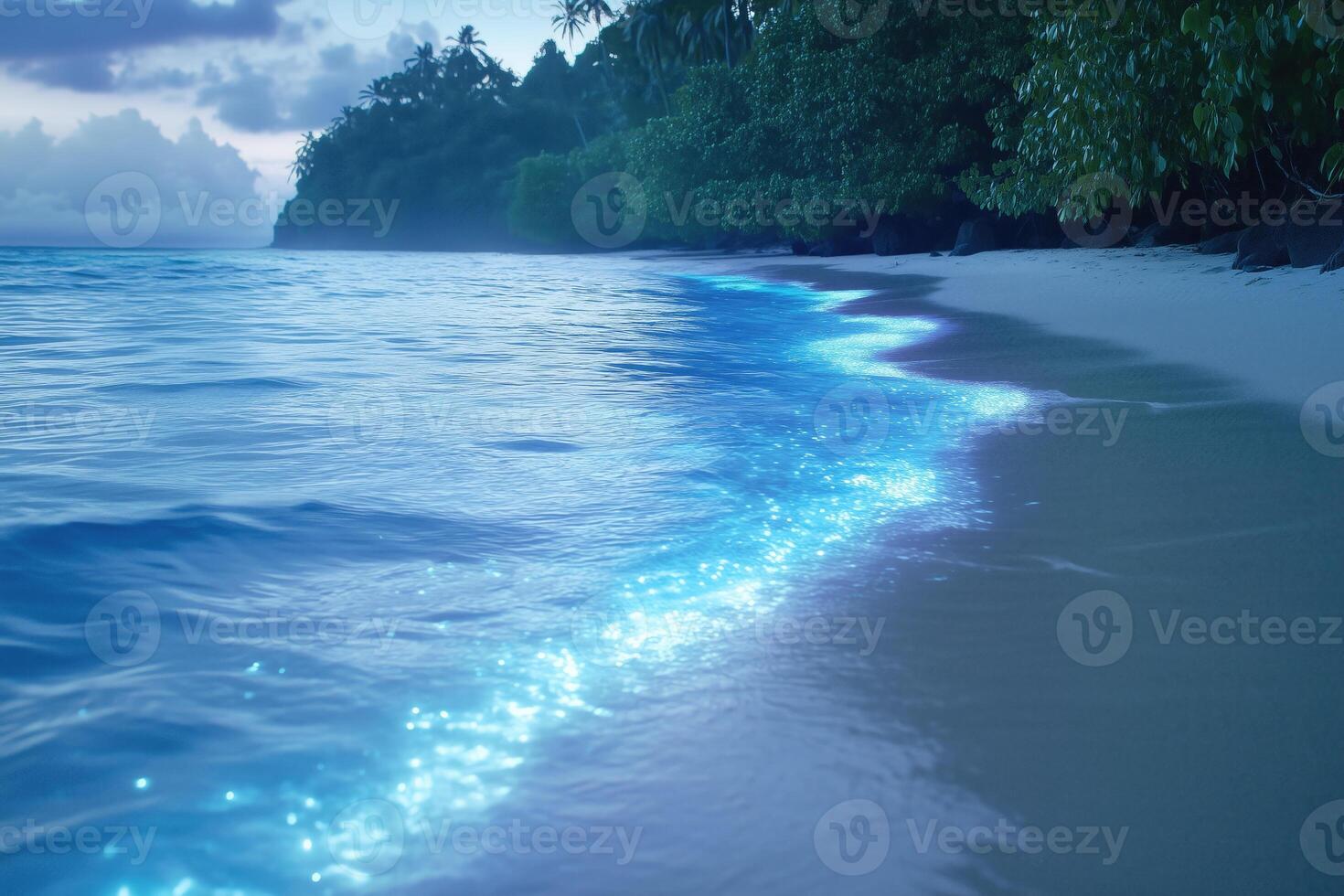 glowing surf on a tropical beach before dawn photo