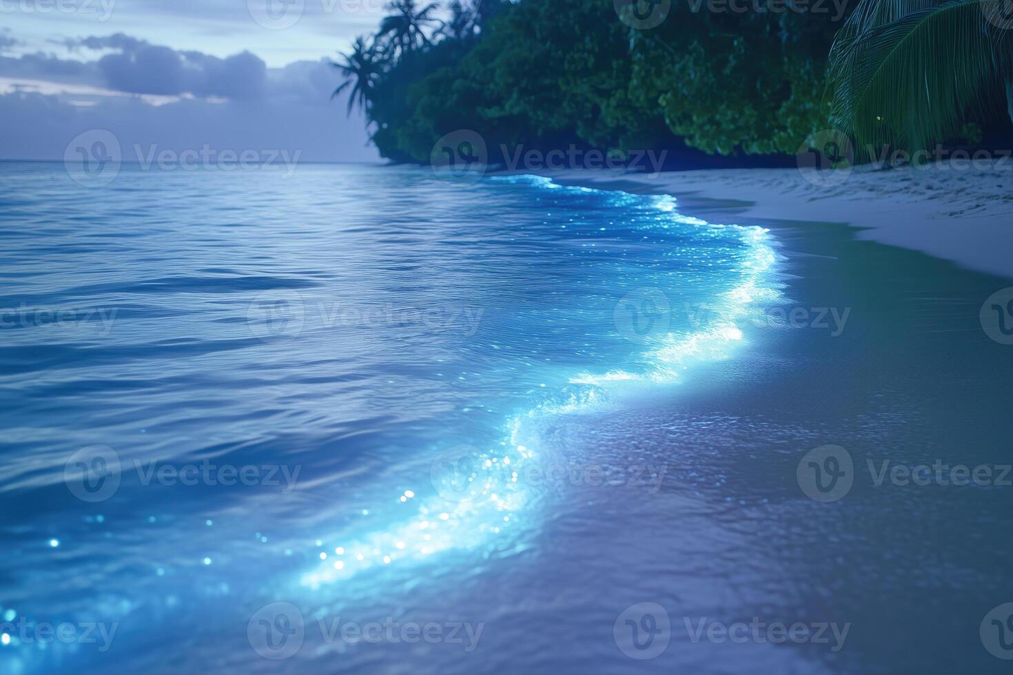 flashing surf on tropical beach at night before sunset. photo