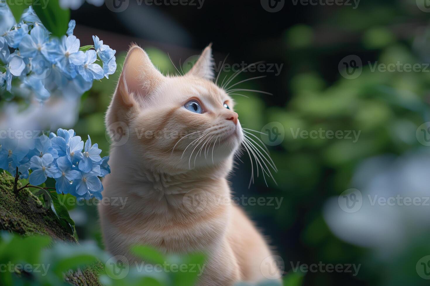 Cute kitten looking up among blue flowers in the garden photo