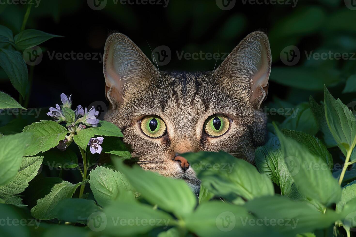 Portrait of a cat with green eyes in the grass and flowers photo