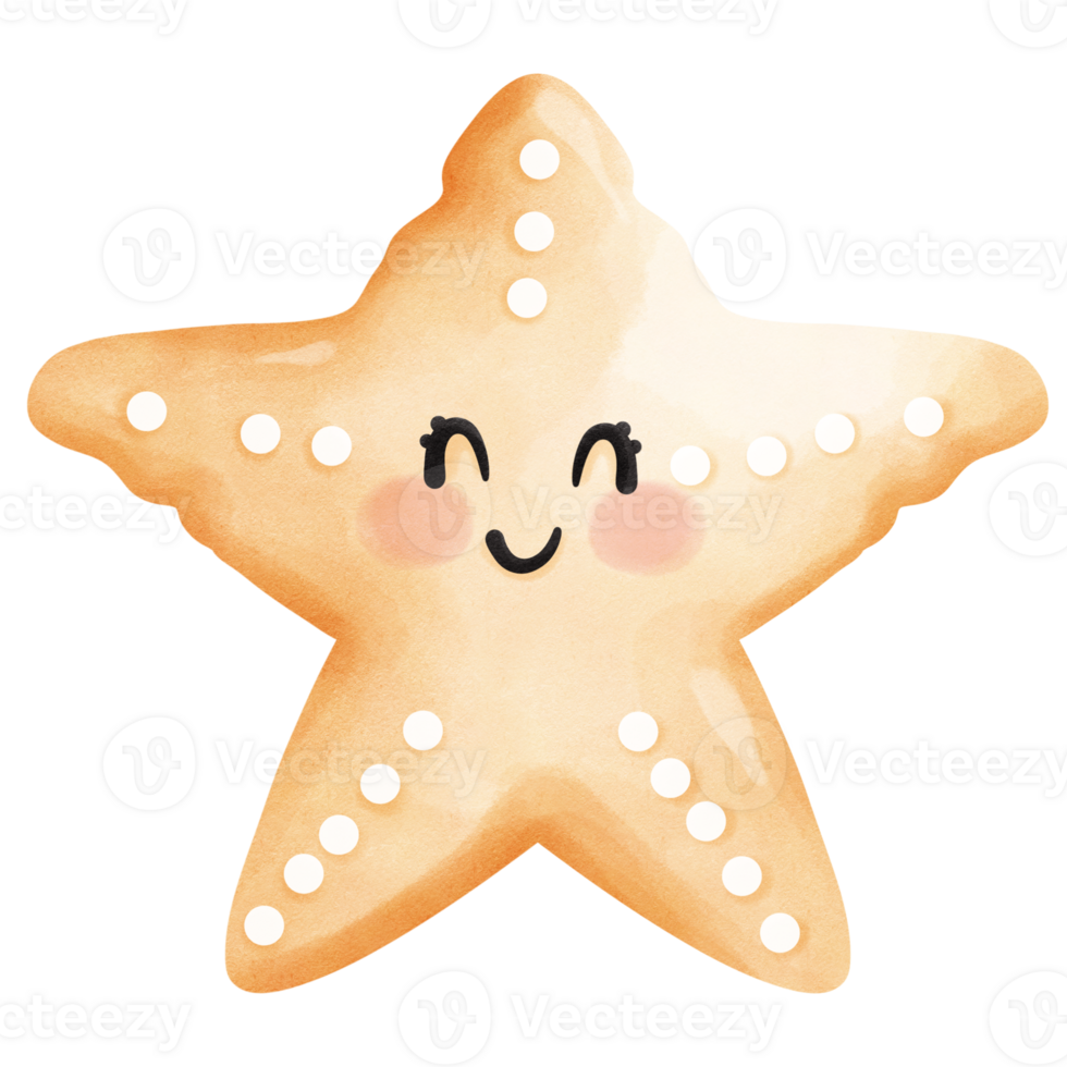 starfish with smiling faces png