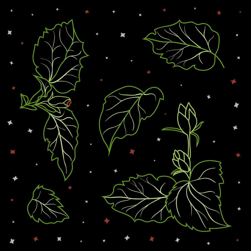Set of hibiscus leaves and buds outlined in green on a black background. Minimalistic botanical design suitable for patterns, fabric prints, wallpapers, packaging, invitations, or eco-themed projects vector