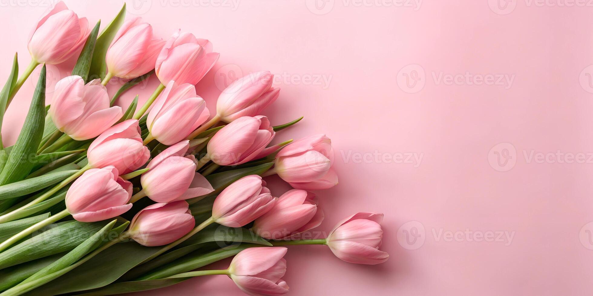 Fresh pink tulips arranged elegantly on a soft pink background for a spring celebration or decoration photo