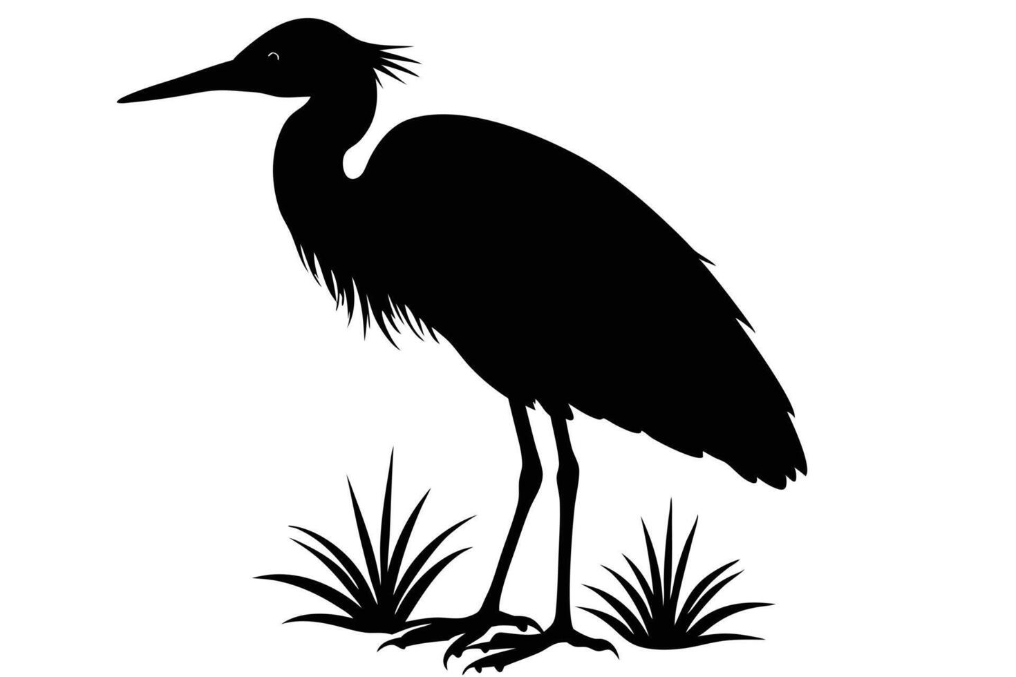Graceful Egret Silhouette vector