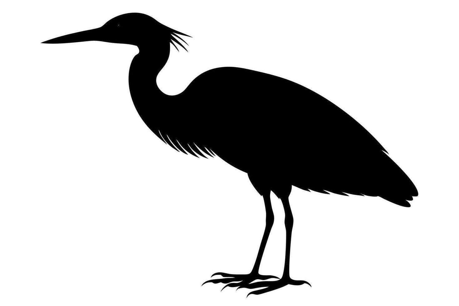 Elegant Egret Shape vector