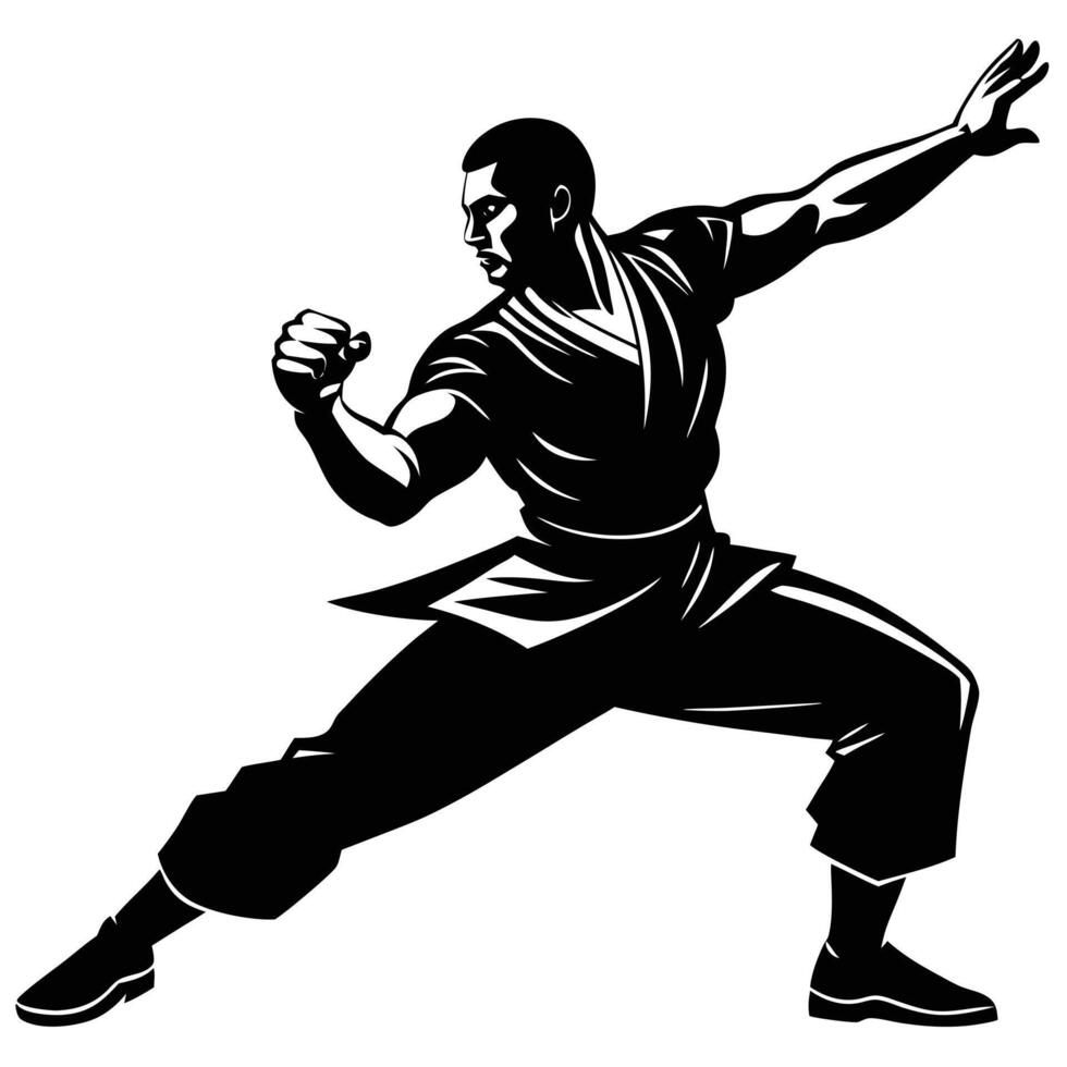 Fighter Silhouette Designs vector