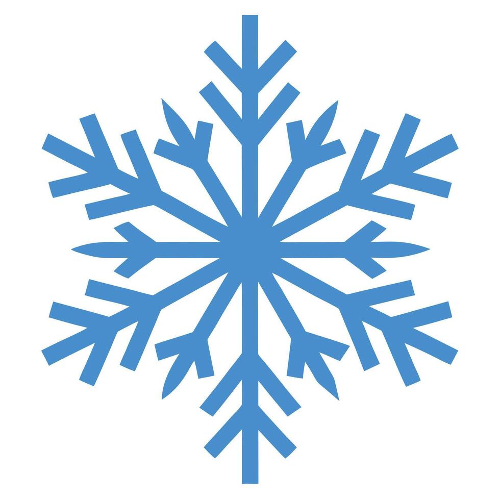 Decorative Winter Snowflakes vector