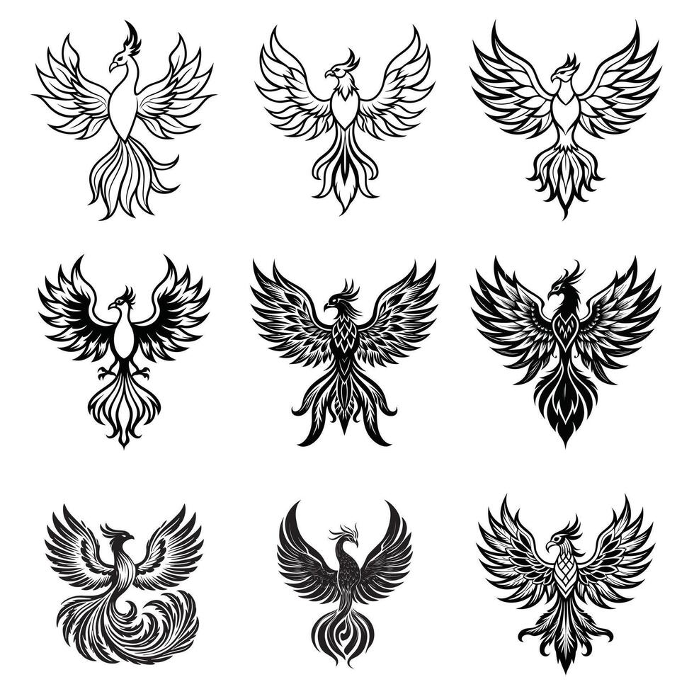 Radiant Phoenix Bird Mythology Art Bundle vector