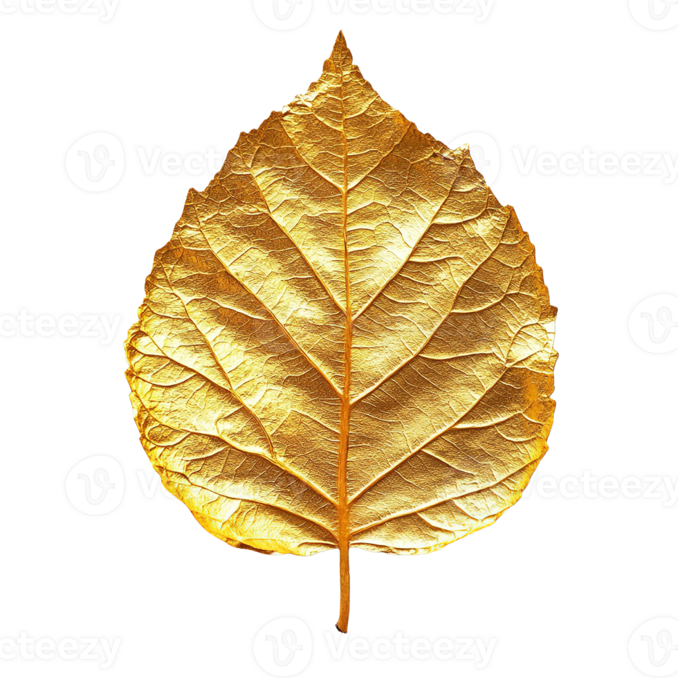 Refined Golden Leaf Textures Featuring Delicate Veins and Radiant Shine on Transparent Background png