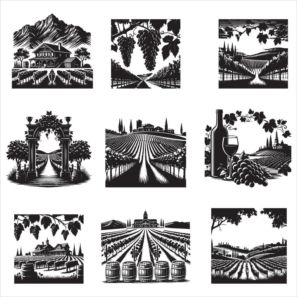 Rustic Vineyard Illustration Bundle for Unique Creations vector