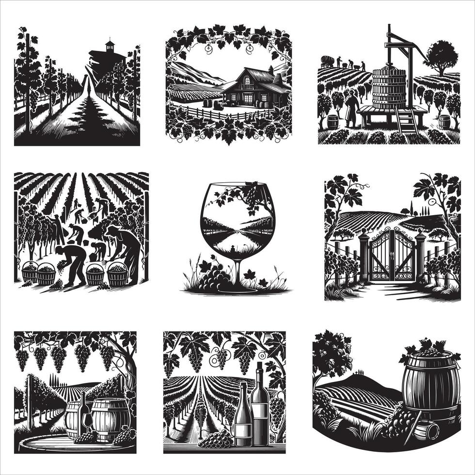 Elegant Winery Vineyard Art Bundle for Inspiration vector