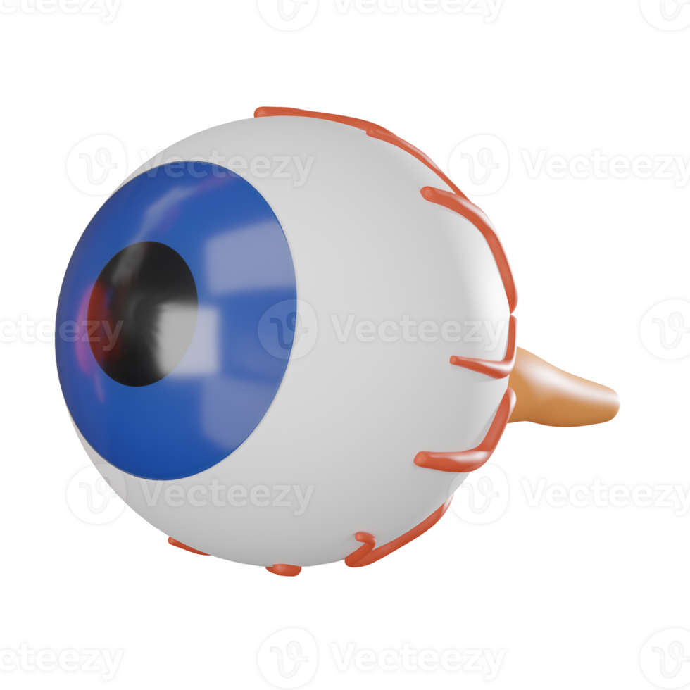 3D render, Eyeball with Detailed Anatomy for Medical Use, Icon Illustration png