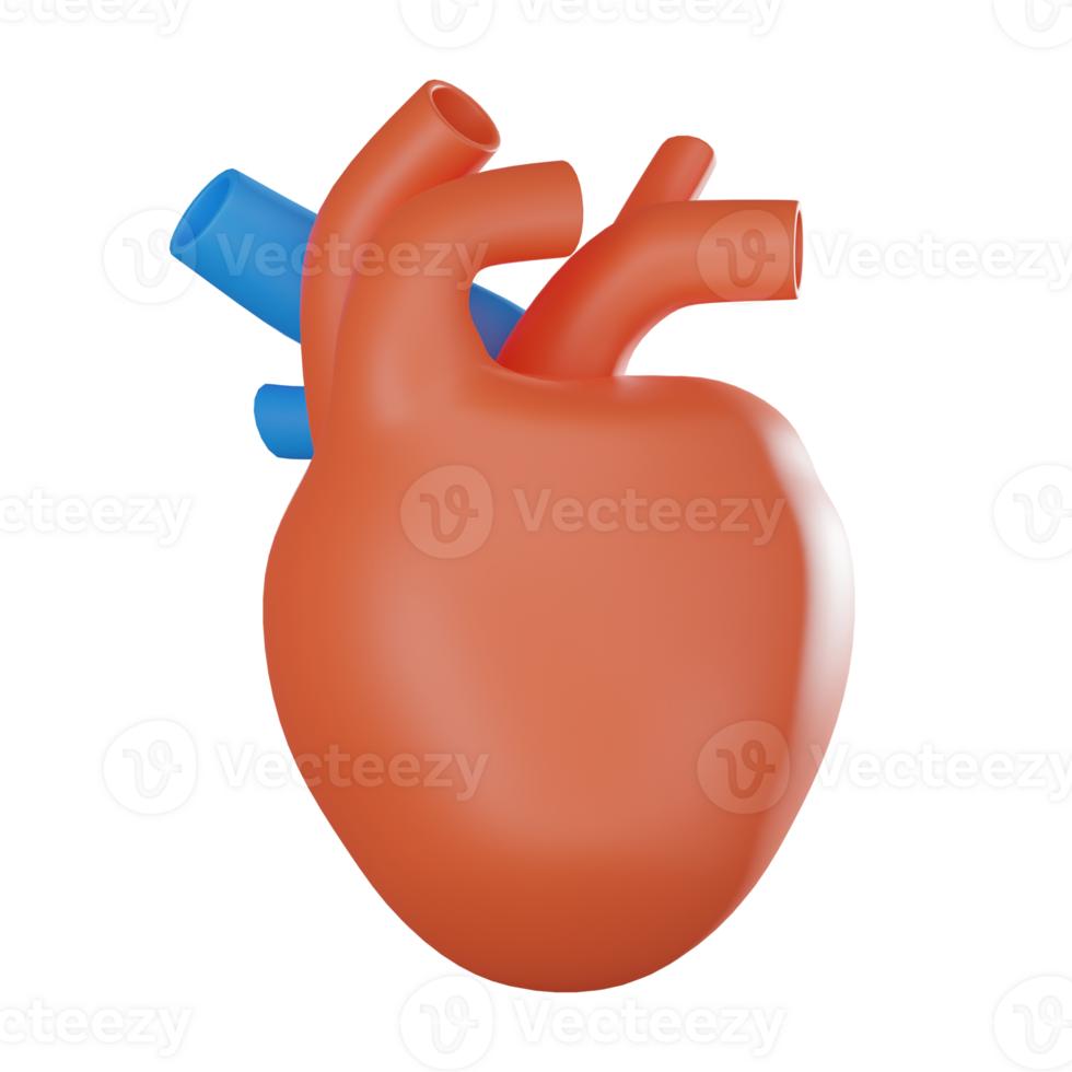 3D render, Human Heart for Medical and Educational Use, Icon Illustration png