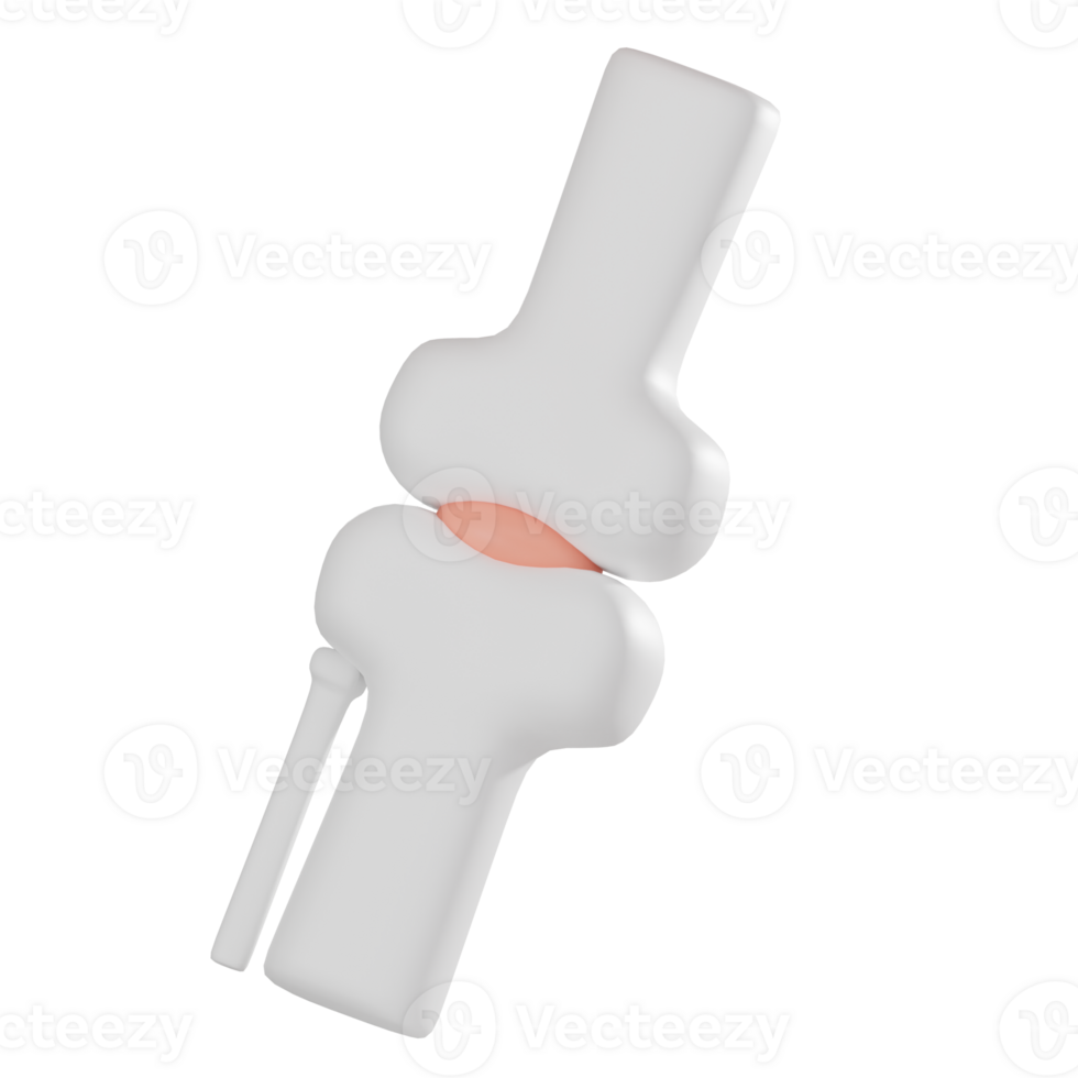 3D render, Knee Joint for Orthopedic and Medical Visualization, Icon Illustration png
