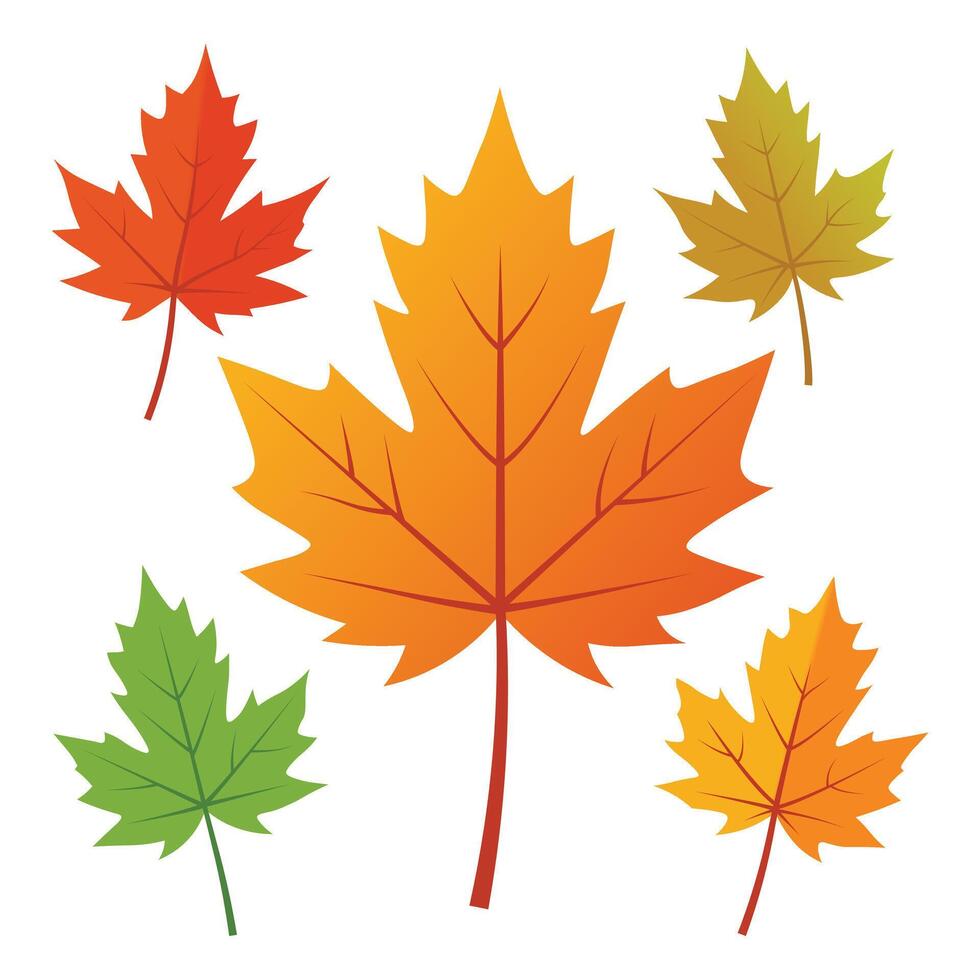 Autumn forest leaves. Set of leaves. Collection of leaves. Set of Autumn Forest Leaves vector