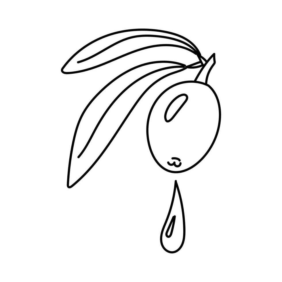 An olive squeezes out a drop of olive oil. An isolated illustration. Squeeze olive oil from a whole olive with leaves. An environmentally friendly cooking product. The symbol of a natural product vector