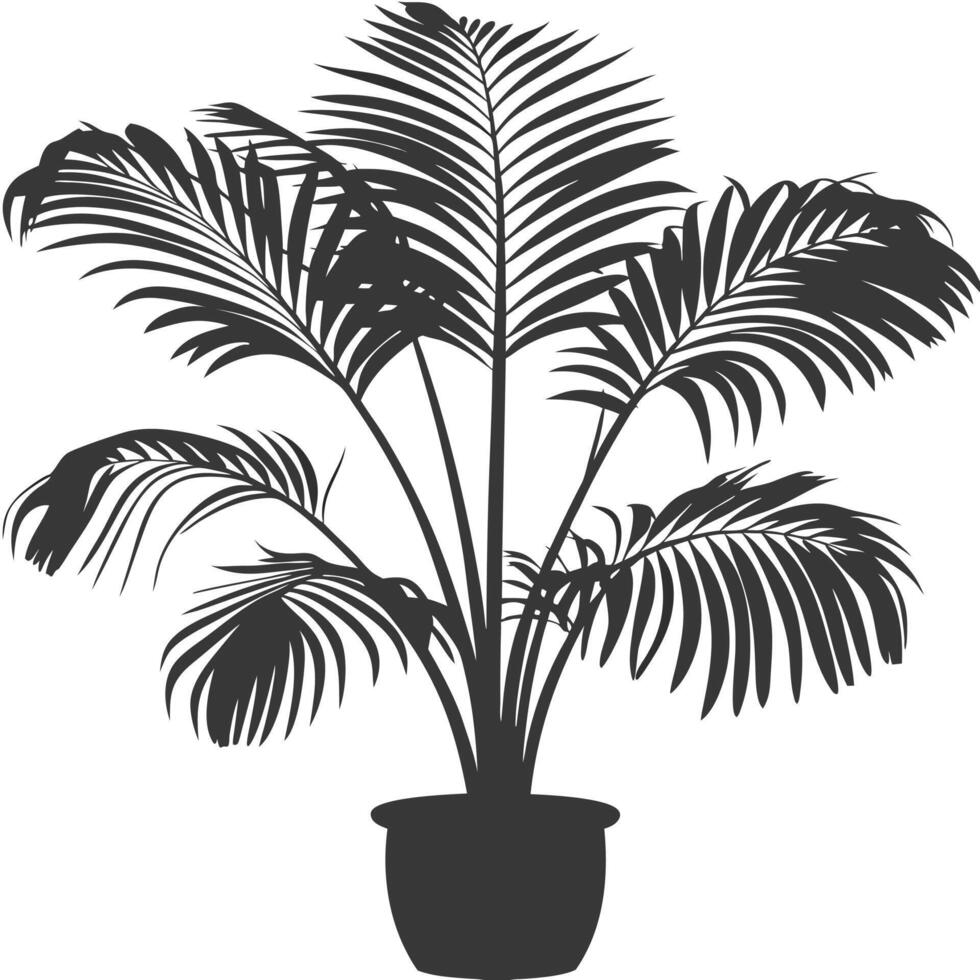 Black-and-White Silhouette of an Indoor Palm Plant vector