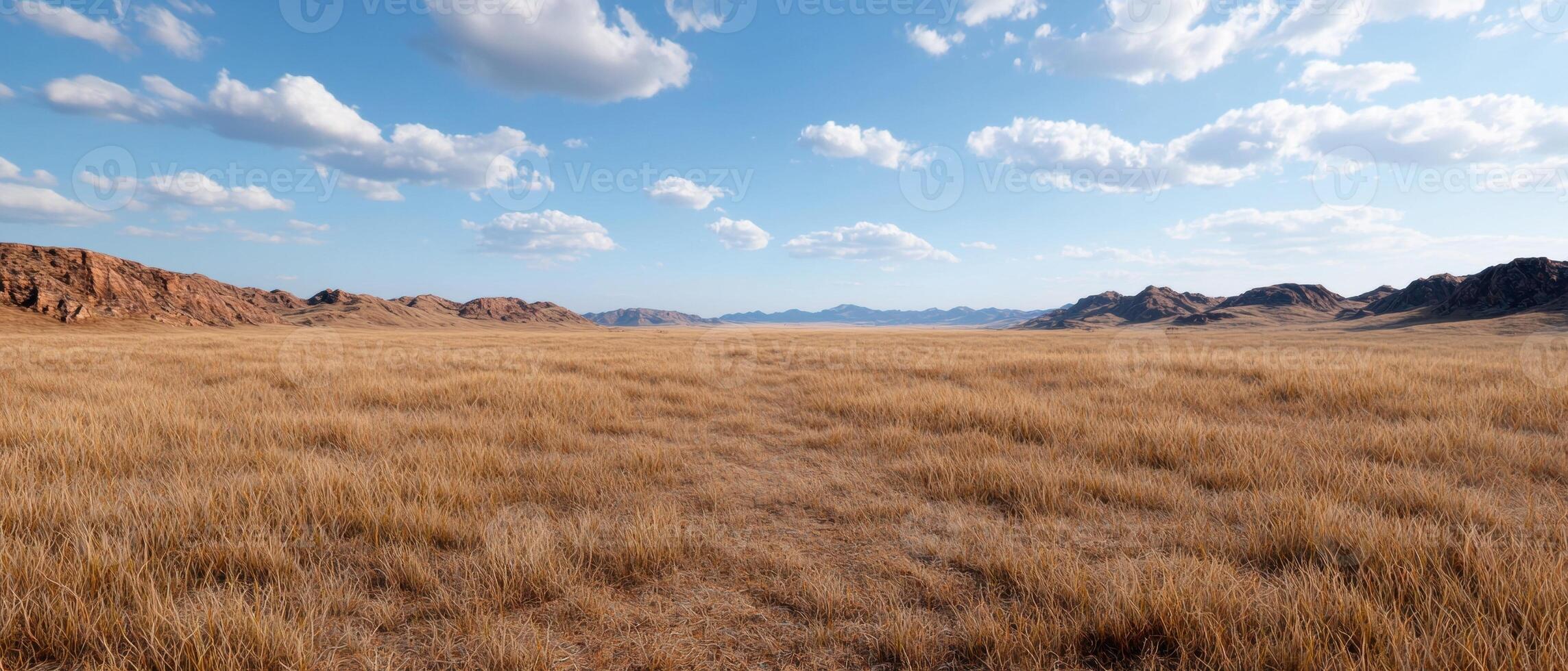 Vast golden prairie under a bright blue sky photo