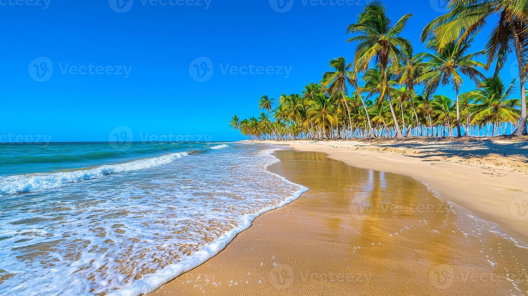 A serene beach with palm trees and clear blue water under a sunny sky. photo