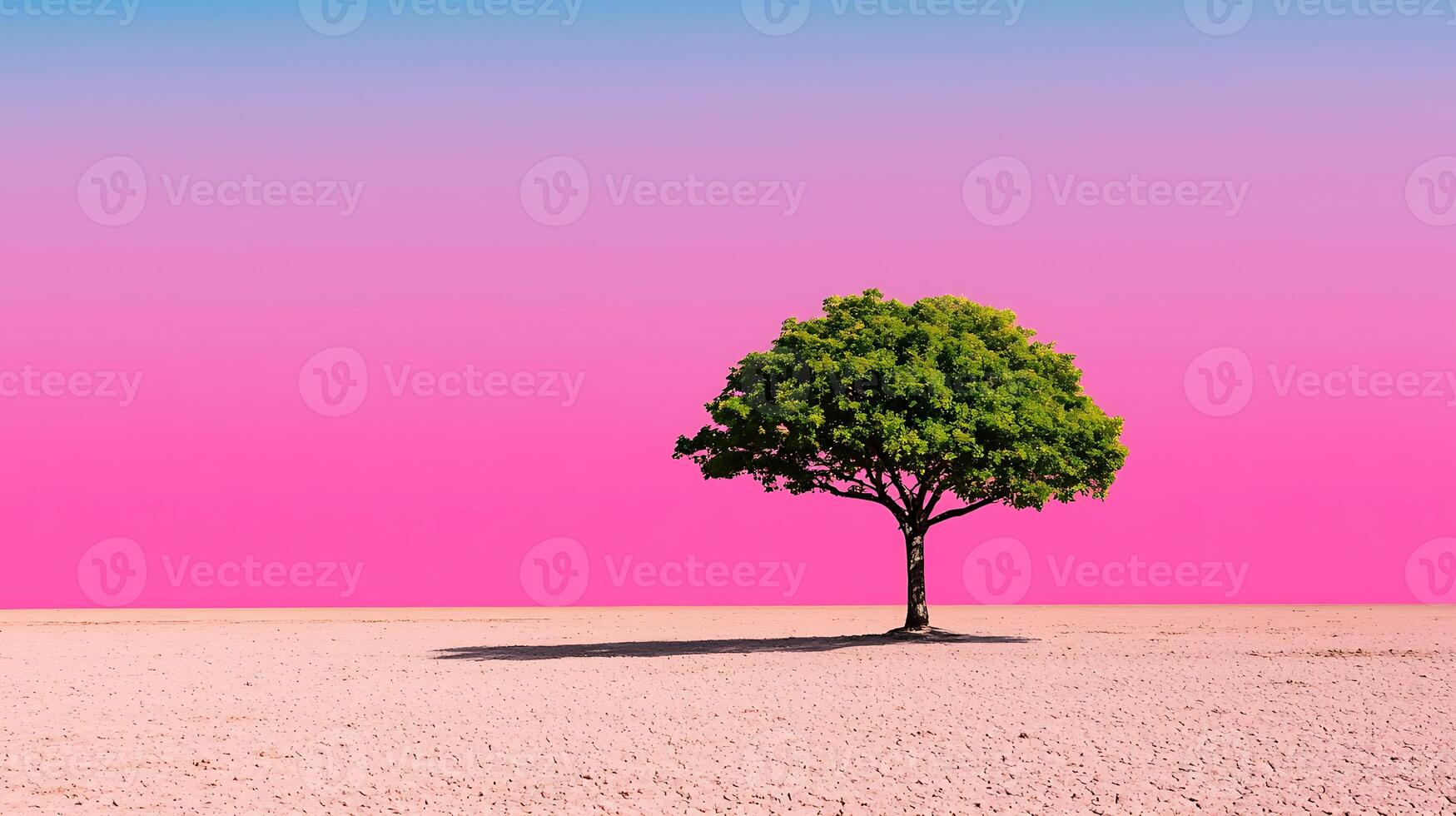 A lone tree in a desert with a pink sky photo