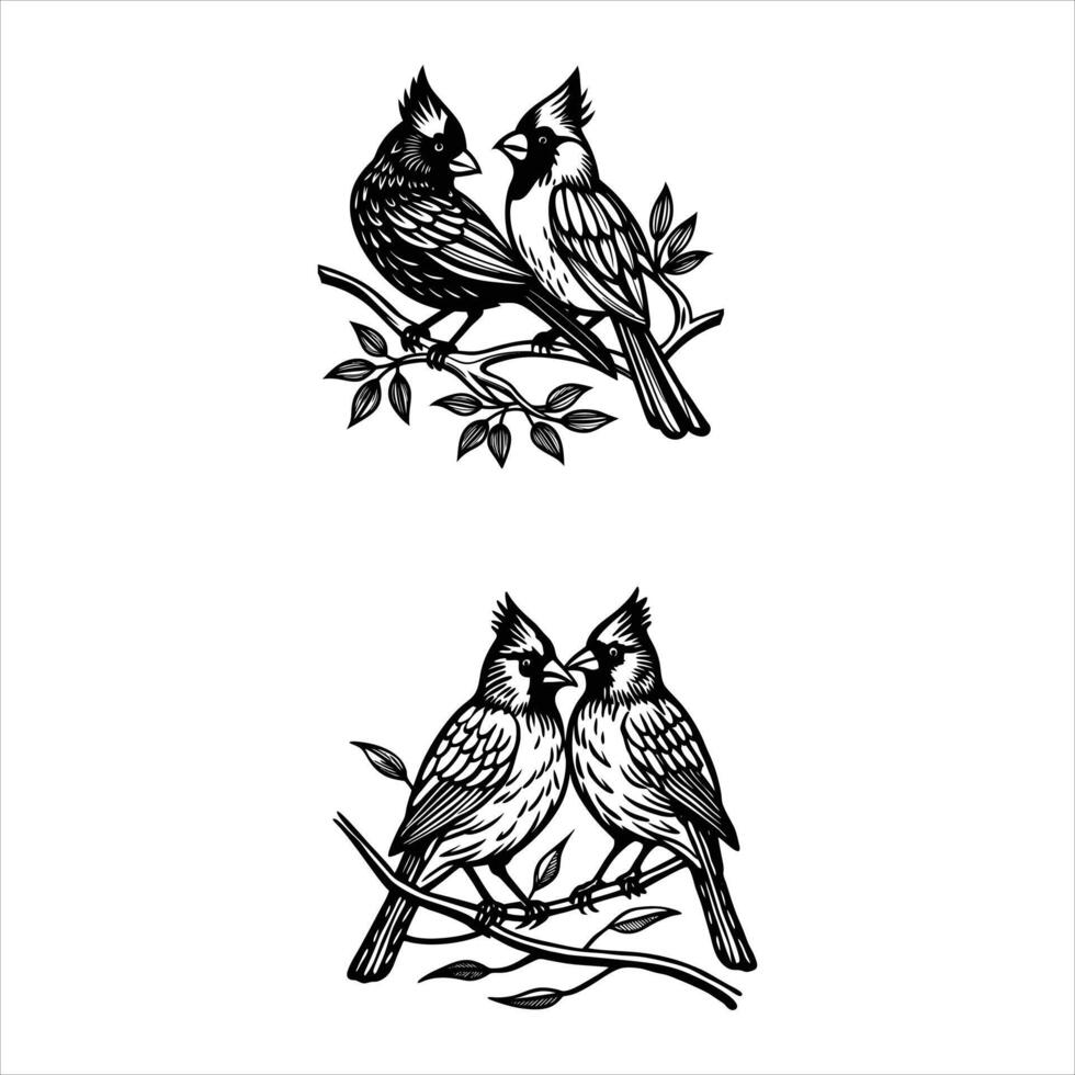 Cardinals Together Vectors. vector