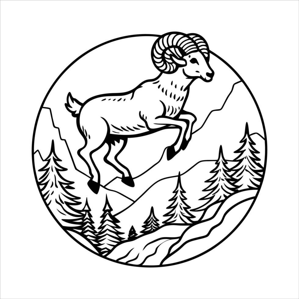Big Horn Sheep - Ovis canadensis vector