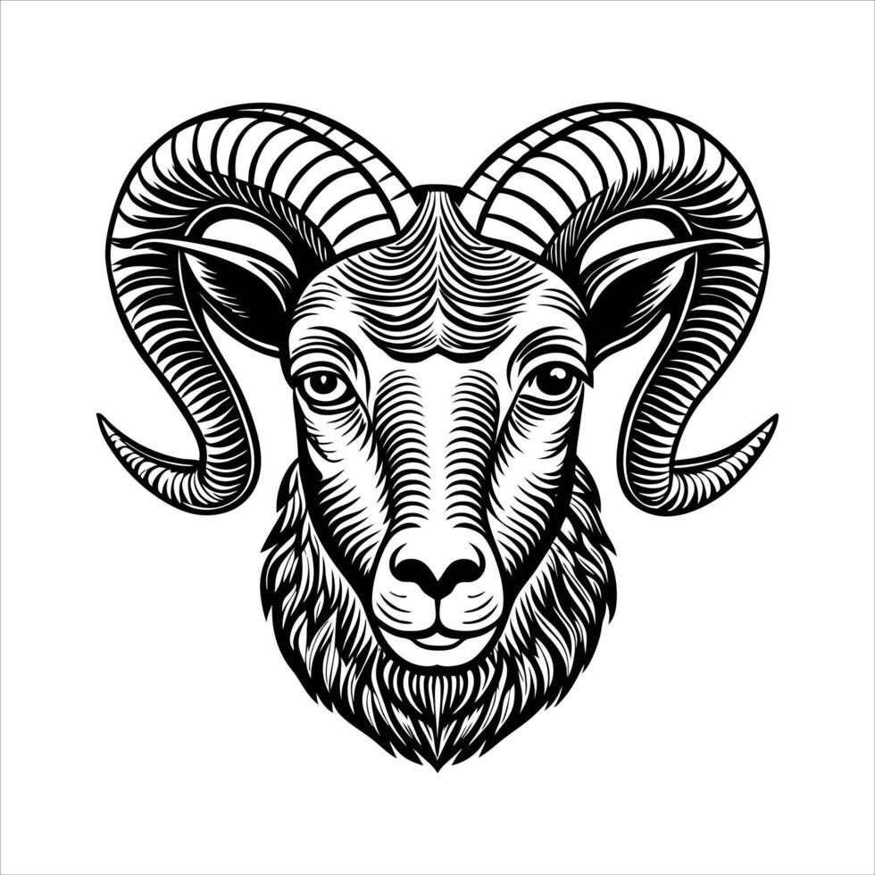 Minimal Line Art Bighorn Sheep vector