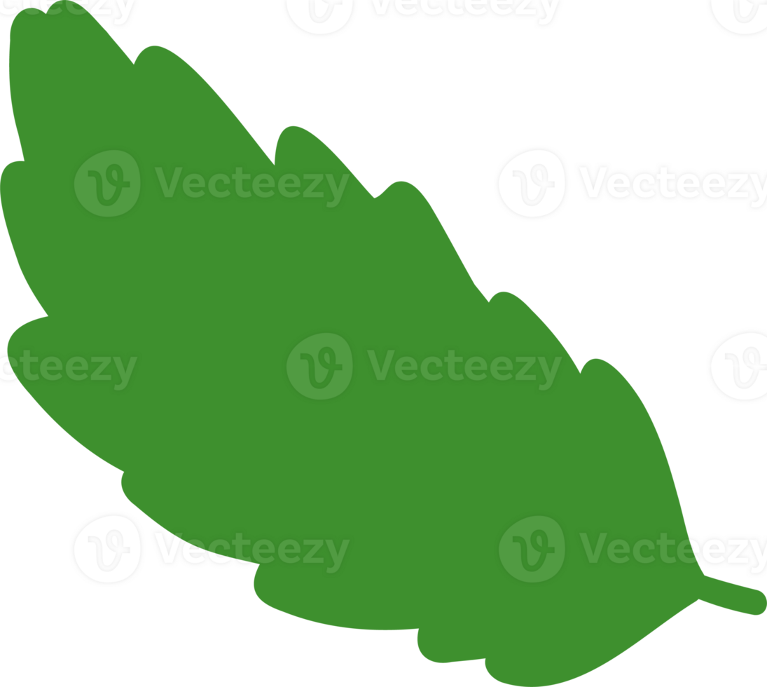 Green Strawberry leaf simple png