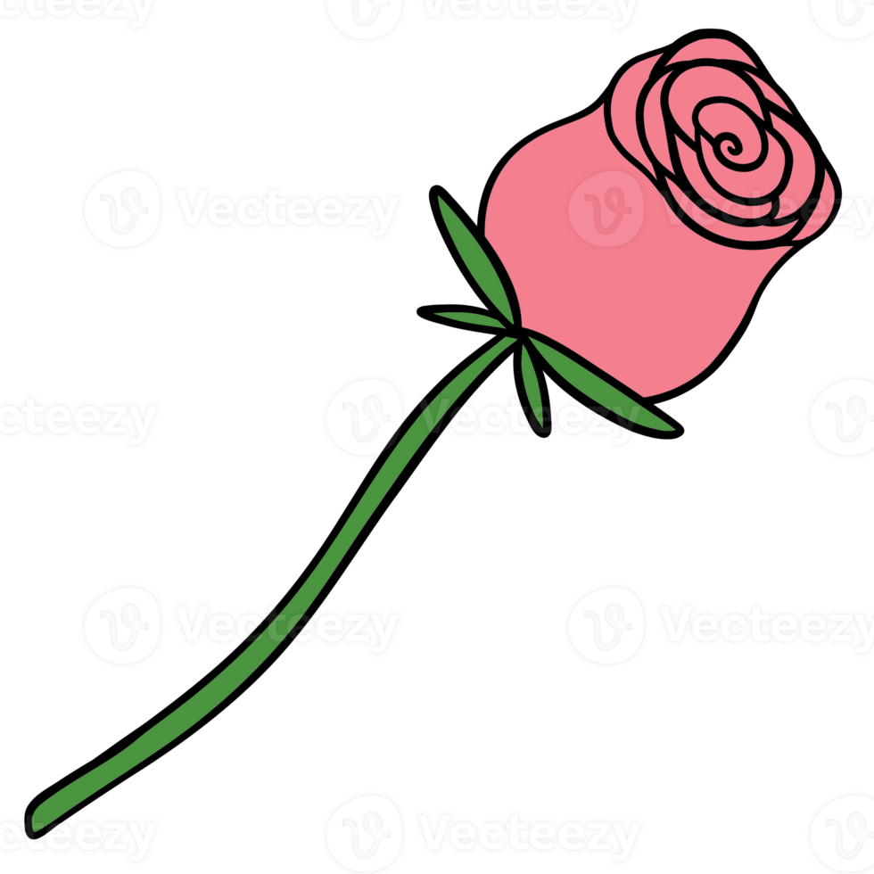 Valentine cute pink rose clipart romantic and cute rose illustration for cards, gifts, and digital art png