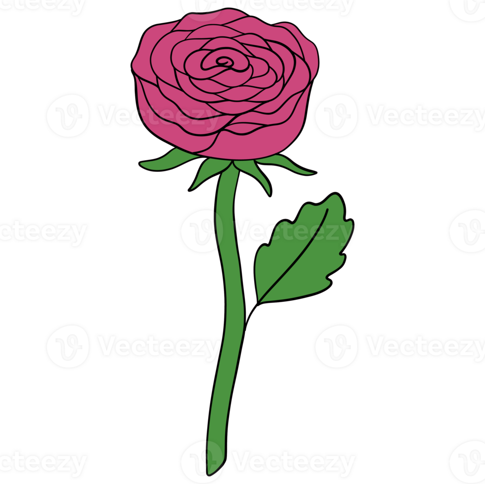 Valentine pink rose bloom clipart romantic and cute rose illustration for cards, gifts, and digital art png