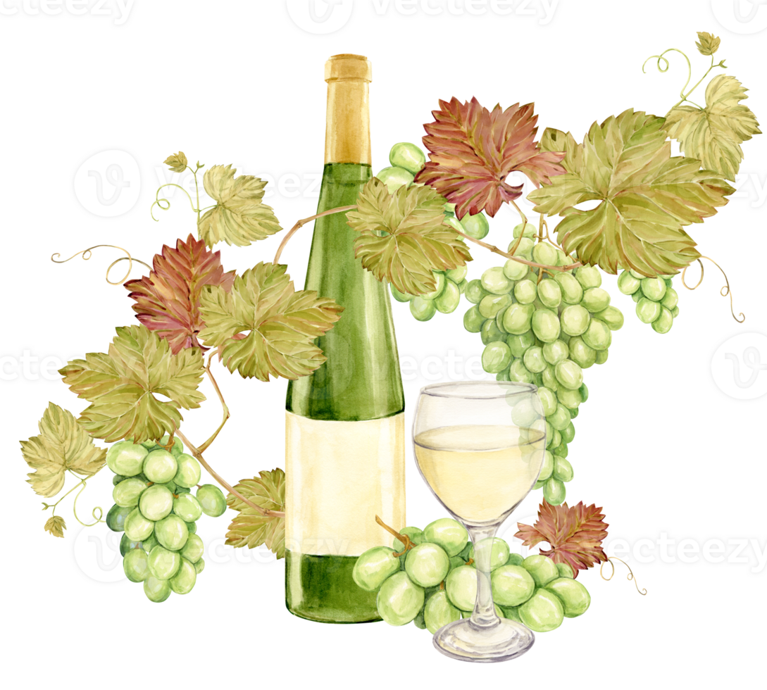 On the table lies a watercolor branch with white grapes, and next to it a glass of white wine and a bottle of green glass. Illustration of green berries. Clipart for tasting, menu, wine list. png