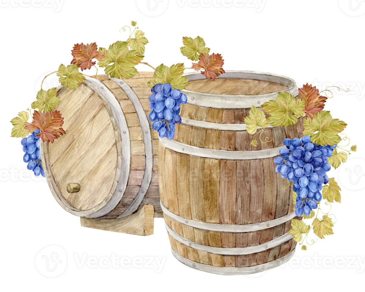 Two Watercolor wooden oak barrel for storing fermented wine. Watercolor brown barrel with lilac grapes. Illustration of purple fruits, leaves and branches. Clipart for wine labels, winery, restaurant png