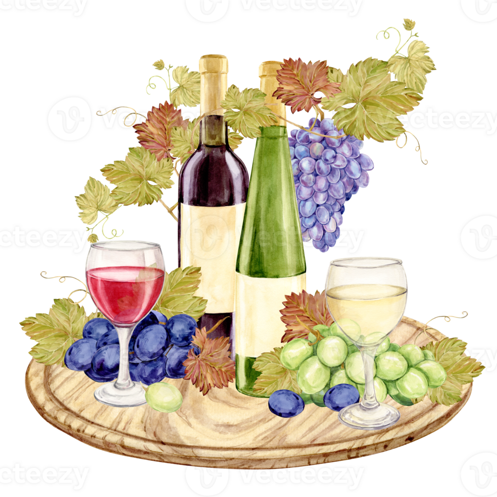 Red and white wine and snack served on a wooden board. Bottle, glass, green grapes, brie and cheddar cheese and figs. Composition for restaurant menu or wine list design. Clipart in rustic style. png