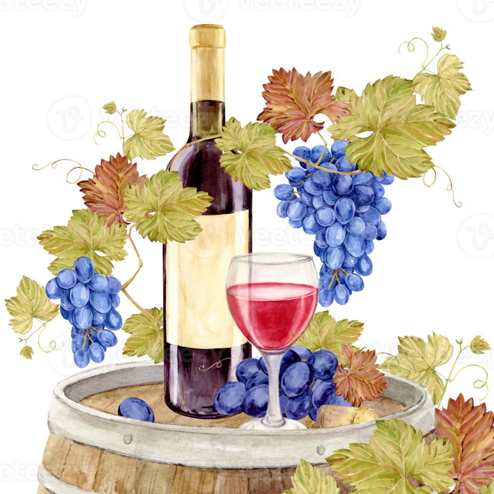 Watercolor bottle of red wine with old paper label and glass of red wine on a log oak barrel. Grapevine with blue berries. Illustration for tasting, menu, cafe, bar, posters and wine list design. png