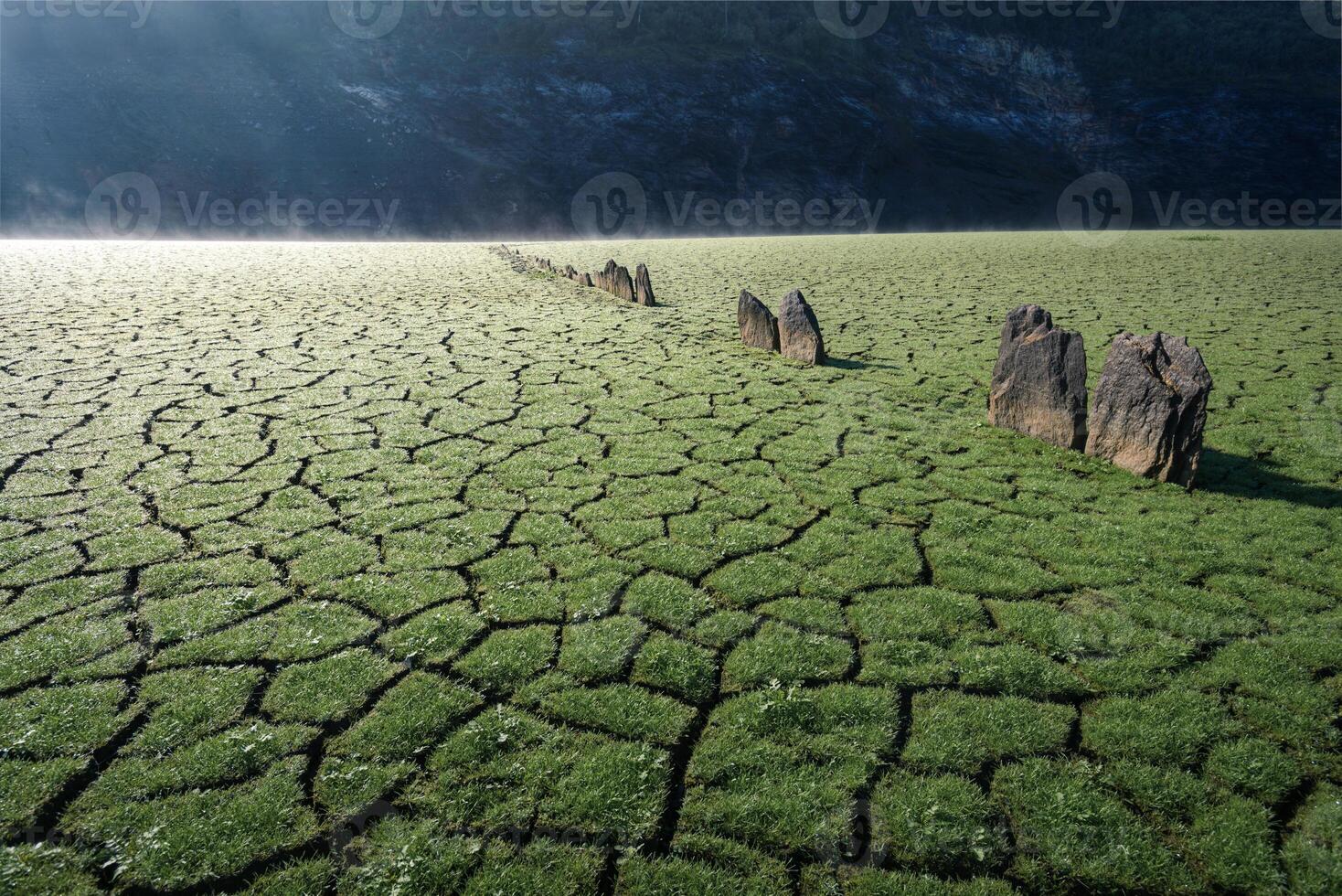 Grass sprouts from the cracked mud at the bottom of an empty reservoir photo