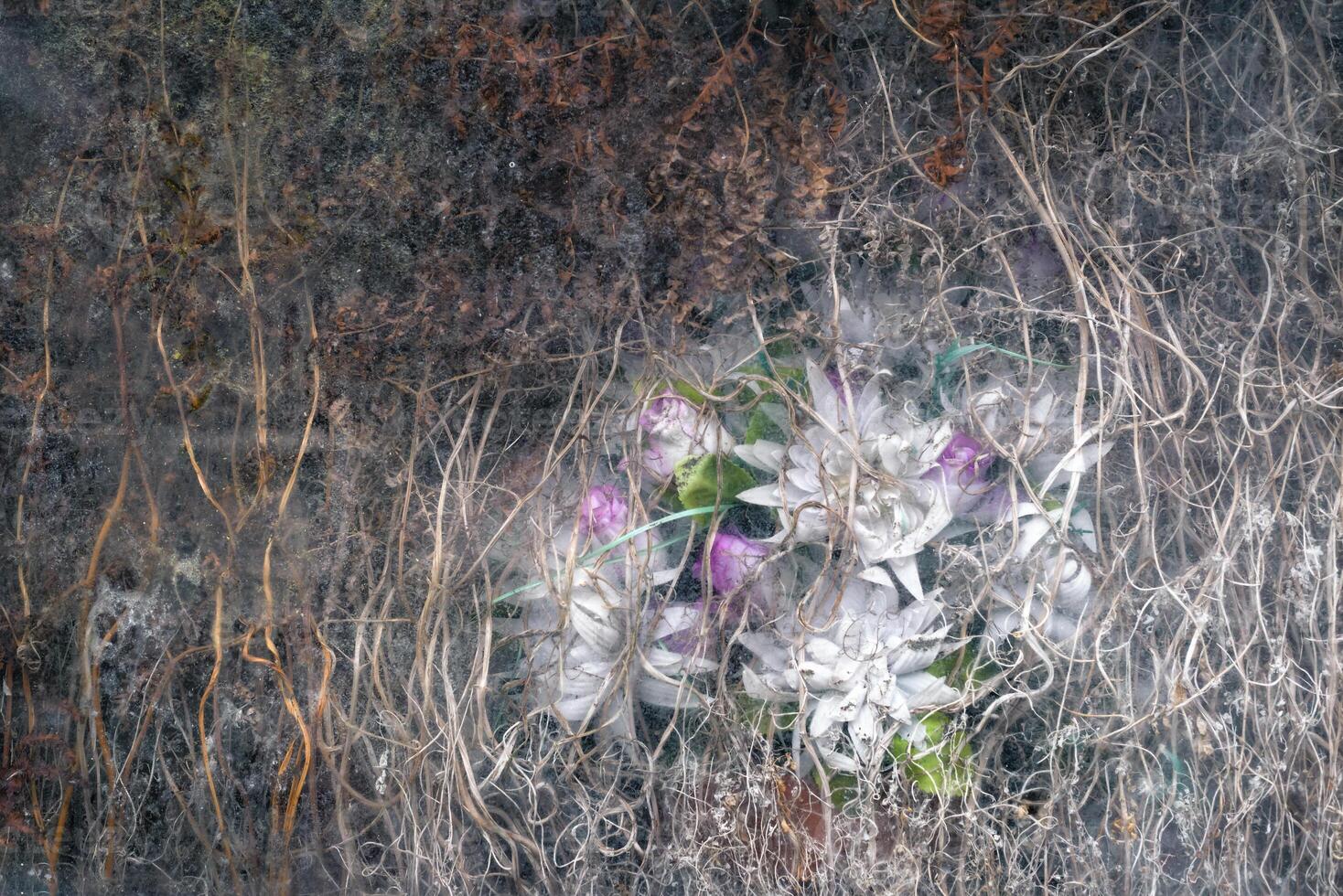 Plastic flowers behind a network of roots in a cemetery niche photo