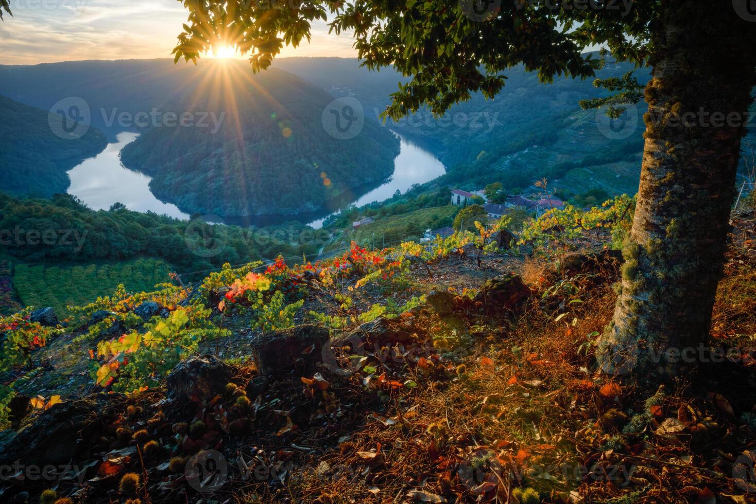 Dusk falls over the vineyard covered slopes in Ribeira Sacra photo