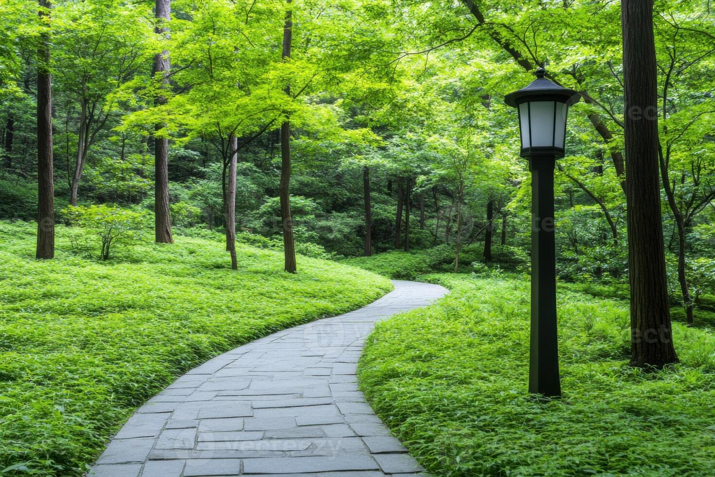 Winding stone pathway through a tranquil forest with tall trees and soft sunlight filtering through foliage photo