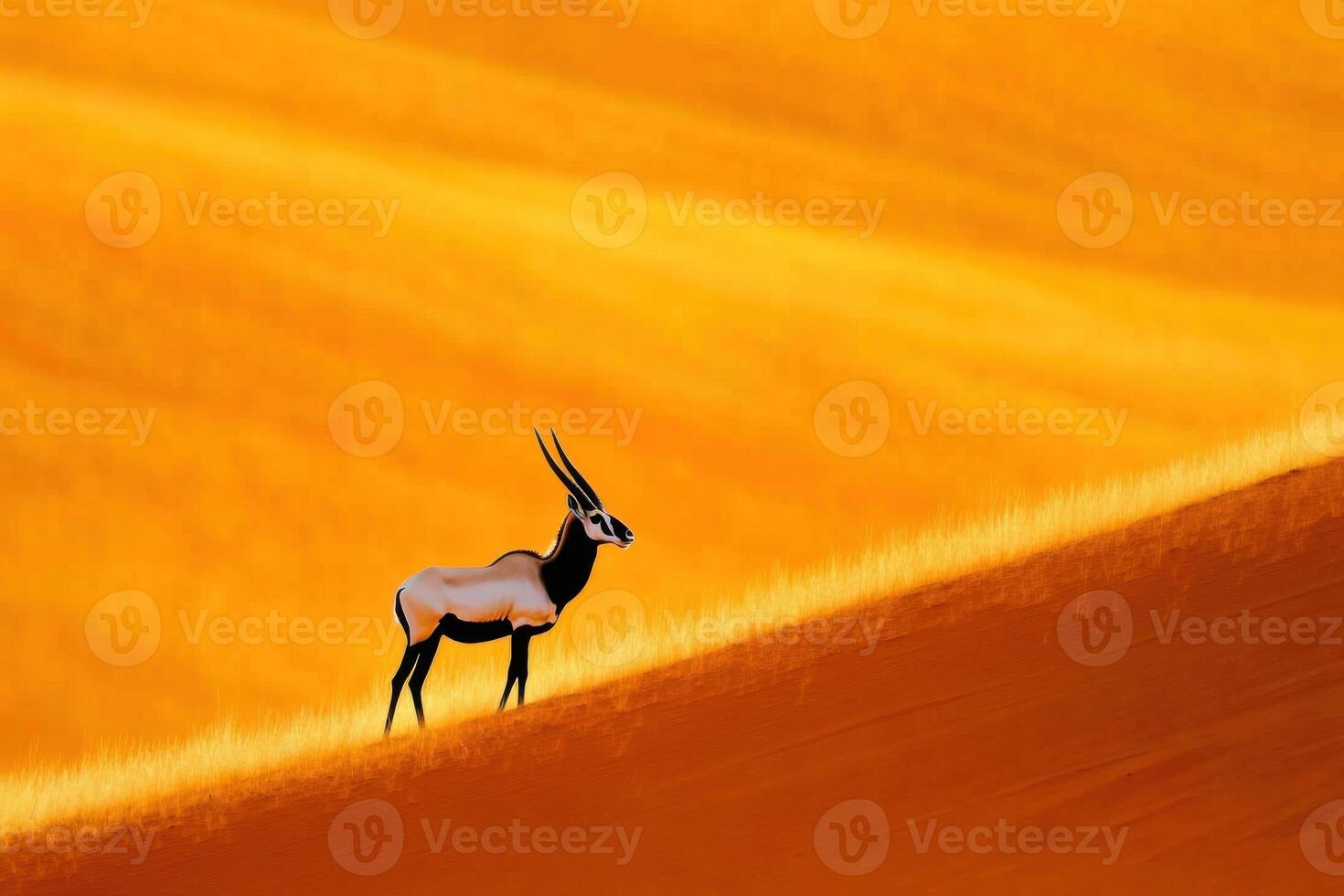 Oryx stands majestically on red dune in the Namibian desert showcasing stunning sand patterns in golden light photo