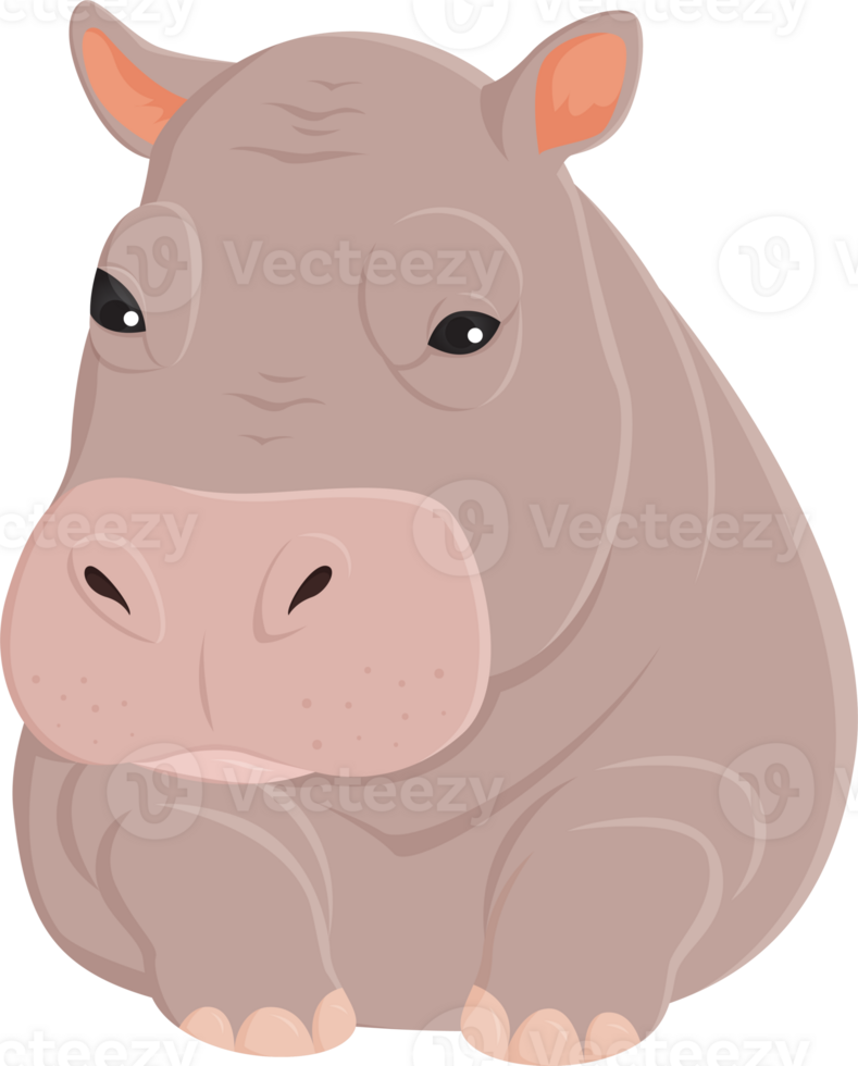Hippo pygme sad character illustration design png