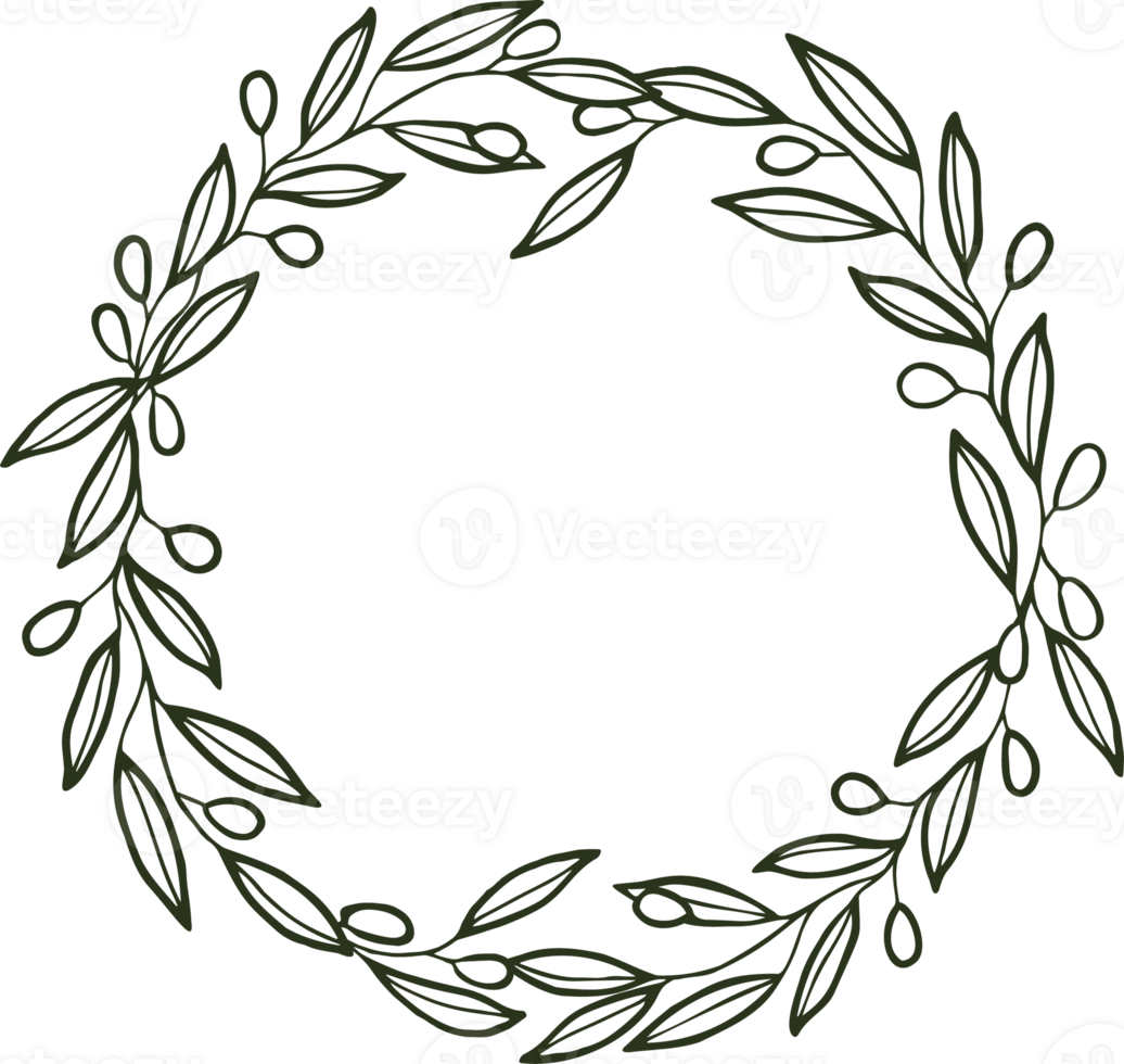 Line art leaves branch with olive leaves png