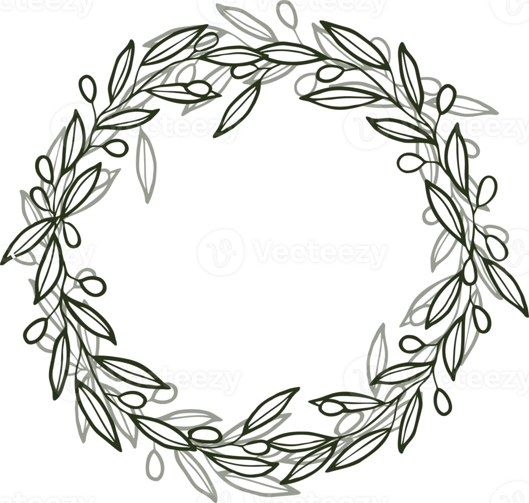 Line art leaves branch with olive png