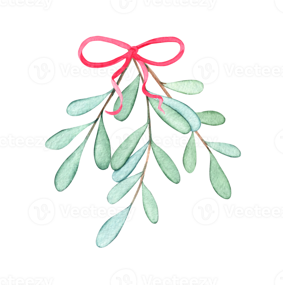 Watercolor mistletoe branch with pink ribbon isolated png