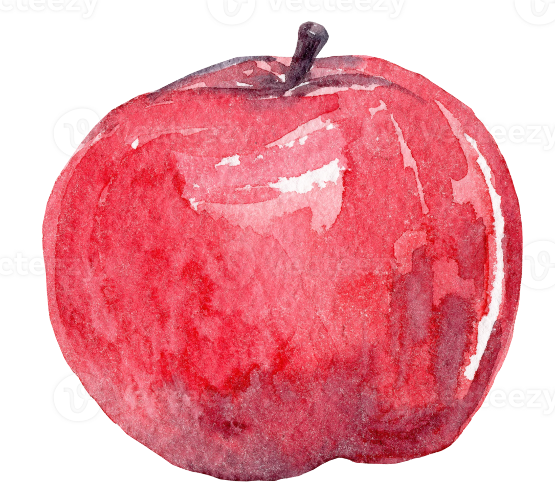 Watercolor red apple hand drawn isolated png