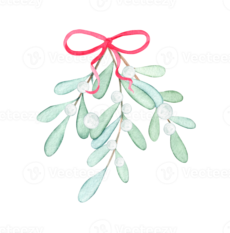 watercolor white mistletoe branch with red ribbon and white berries isolated png